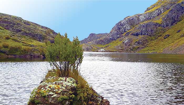 Tour a la Laguna de Quimsacocha en Pisaq