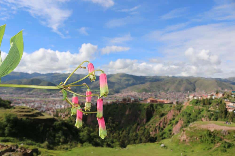 Kallachaka Cusco como llegar