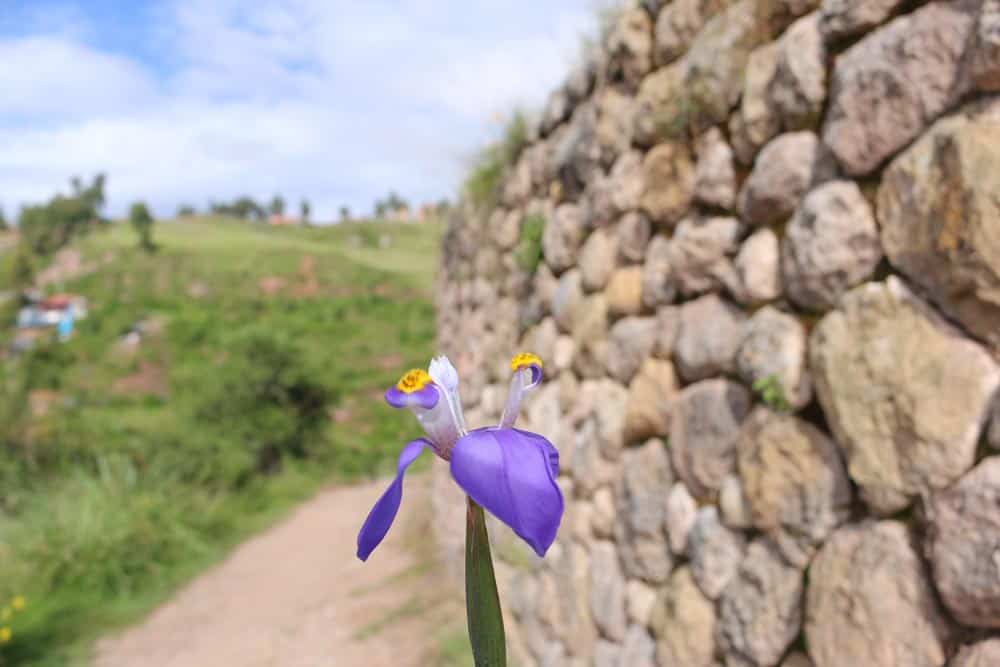 Kallachaka Cusco como llegar