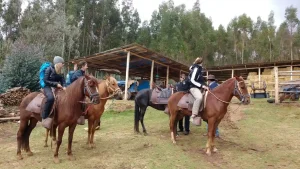 tour cabalgata cusco