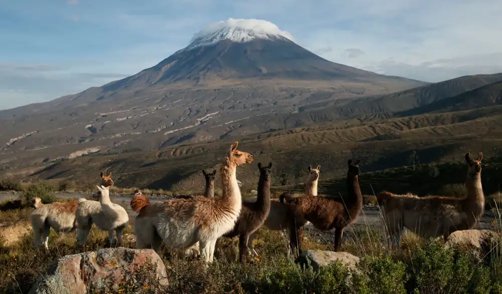 Excursión al salar y laguna de Salinas + aguas termales de Lojen + conexión a Puno