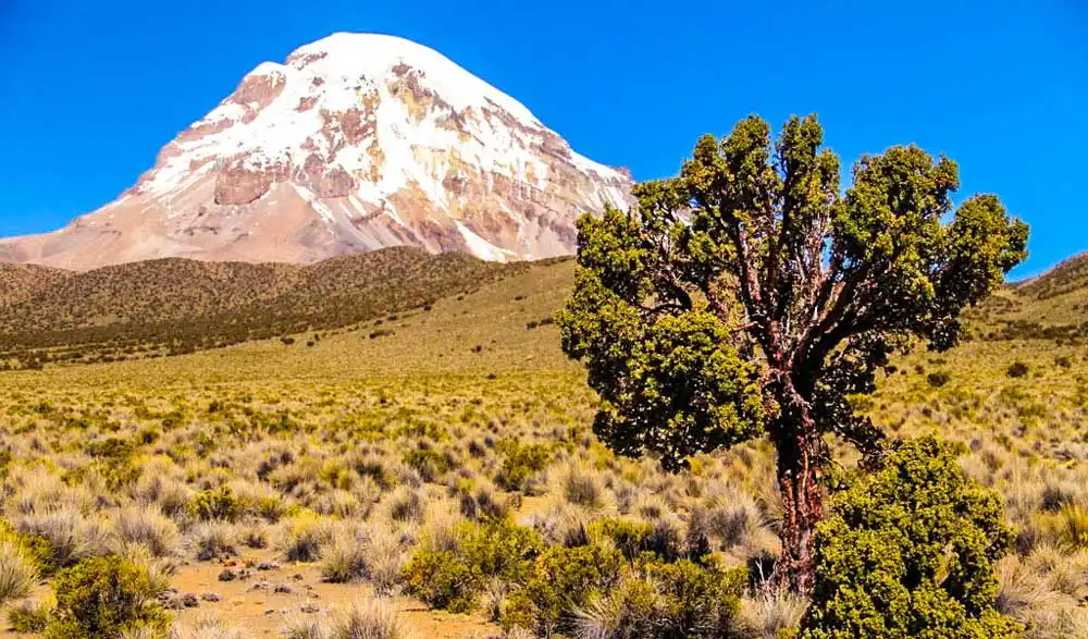 Excursión al salar y laguna de Salinas + aguas termales de Lojen + conexión a Puno