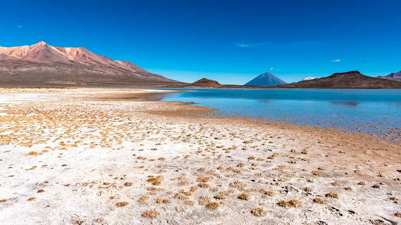 Excursión de Salar y laguna de Salinas + conexión a Puno