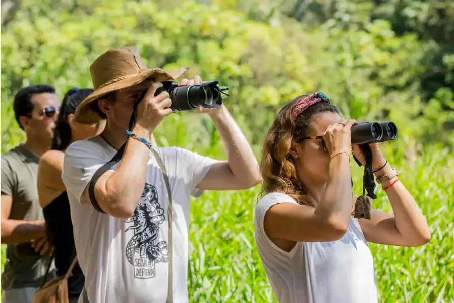 Tambopata Express + lago Sandoval 2d/1n