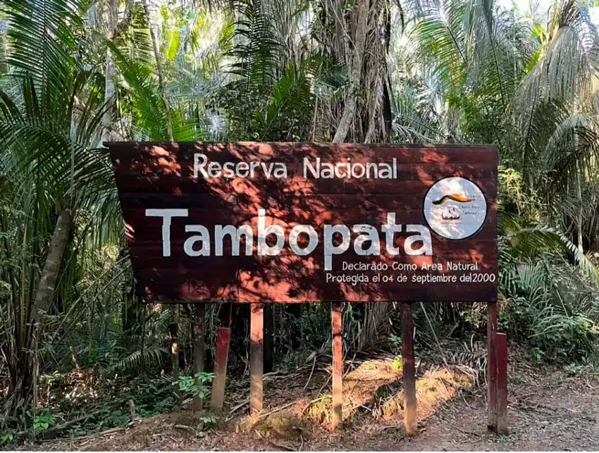 Tambopata + Lago Sandoval + Collpa de Guacamayos 5d/4n