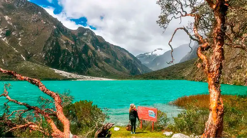 Tour a la laguna Llanganuco desde Huaraz