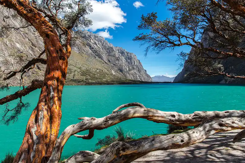 Tour a la laguna Llanganuco desde Huaraz