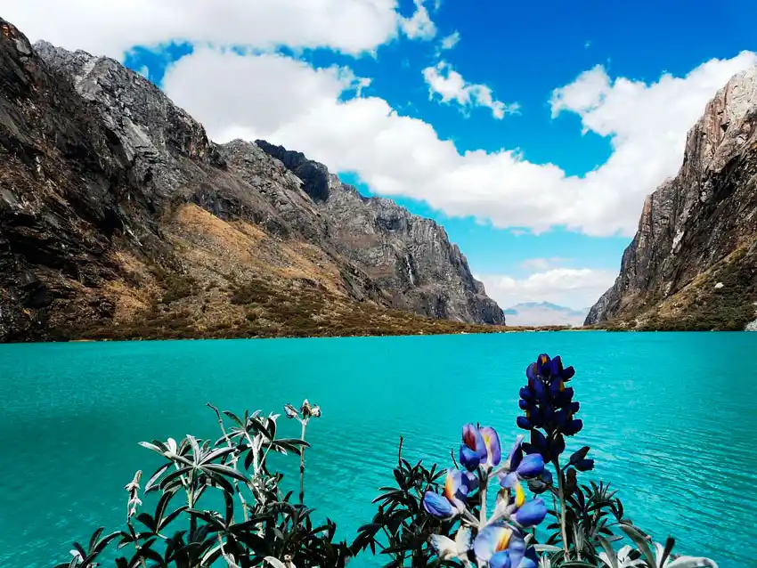 Tour a la laguna Llanganuco desde Huaraz