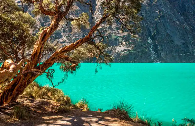 Tour a la laguna Llanganuco desde Huaraz