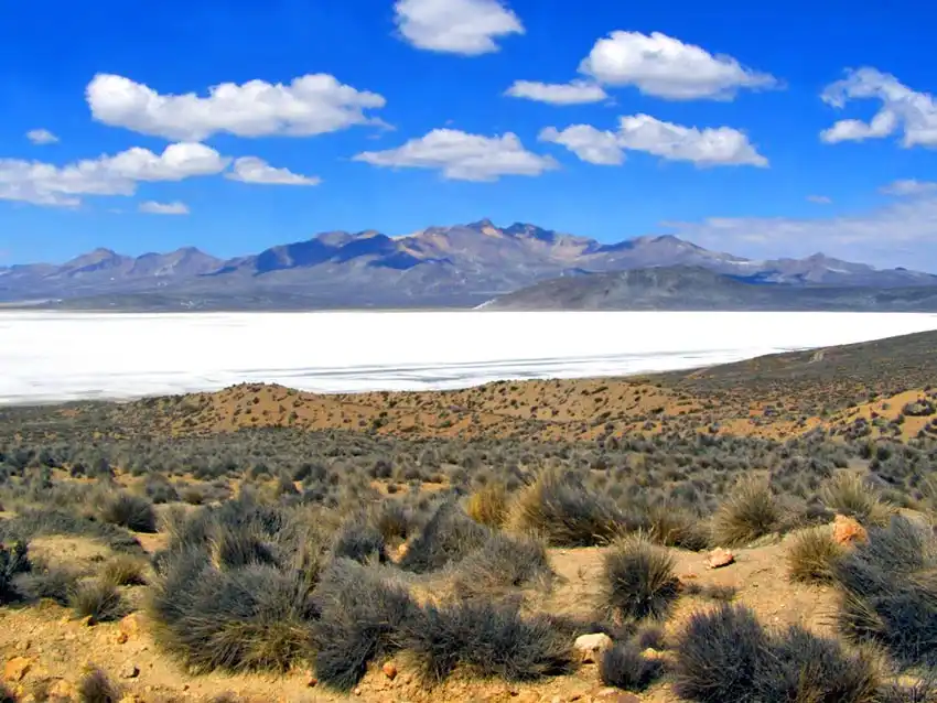 Tour a la laguna y salar de Salinas + Baños Termales en Arequipa