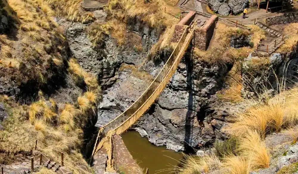 Tour a la montaña de Palcoyo + puente de Q´eswachaka