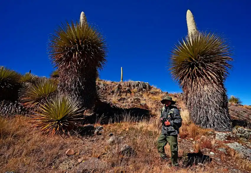 Tour al glaciar Pastoruri desde Huaraz