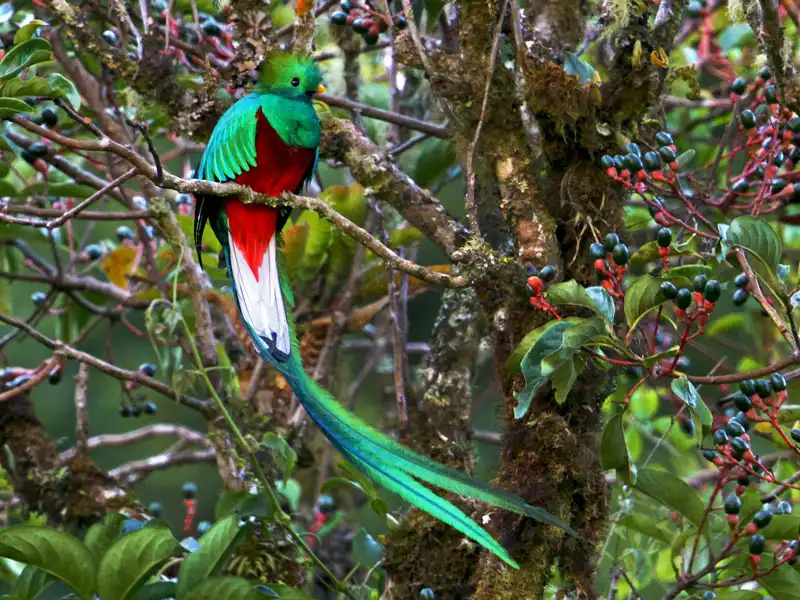 Tour al Parque Nacional Manu desde Cusco 3d/2n