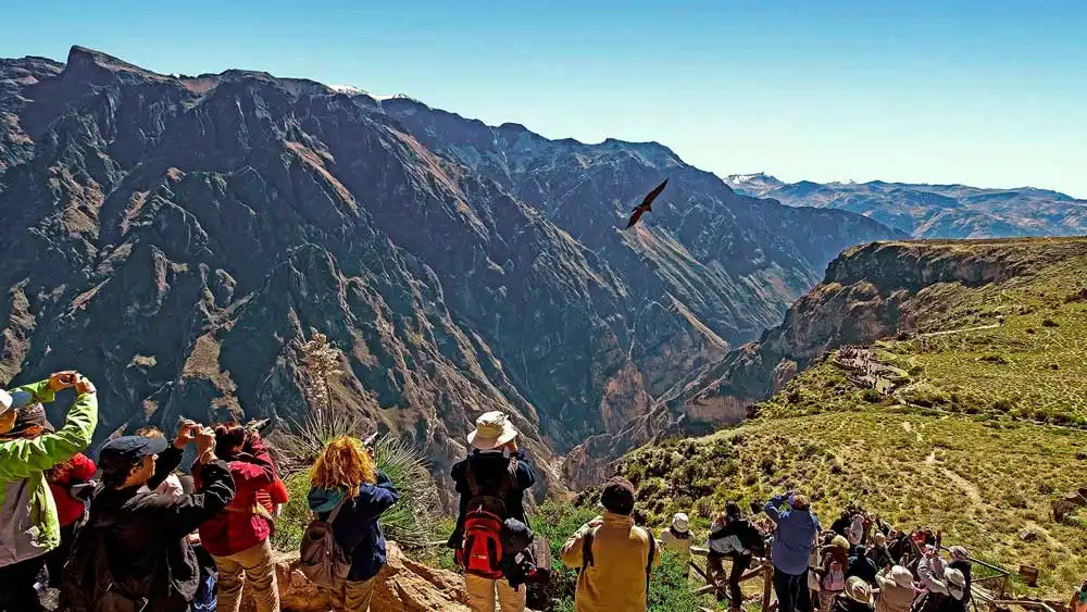 Tour colca 2d/1n: Empieza en Puno y termina en Arequipa