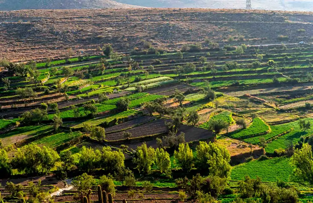 Tour por la ruta del Loncco y andenerías incas