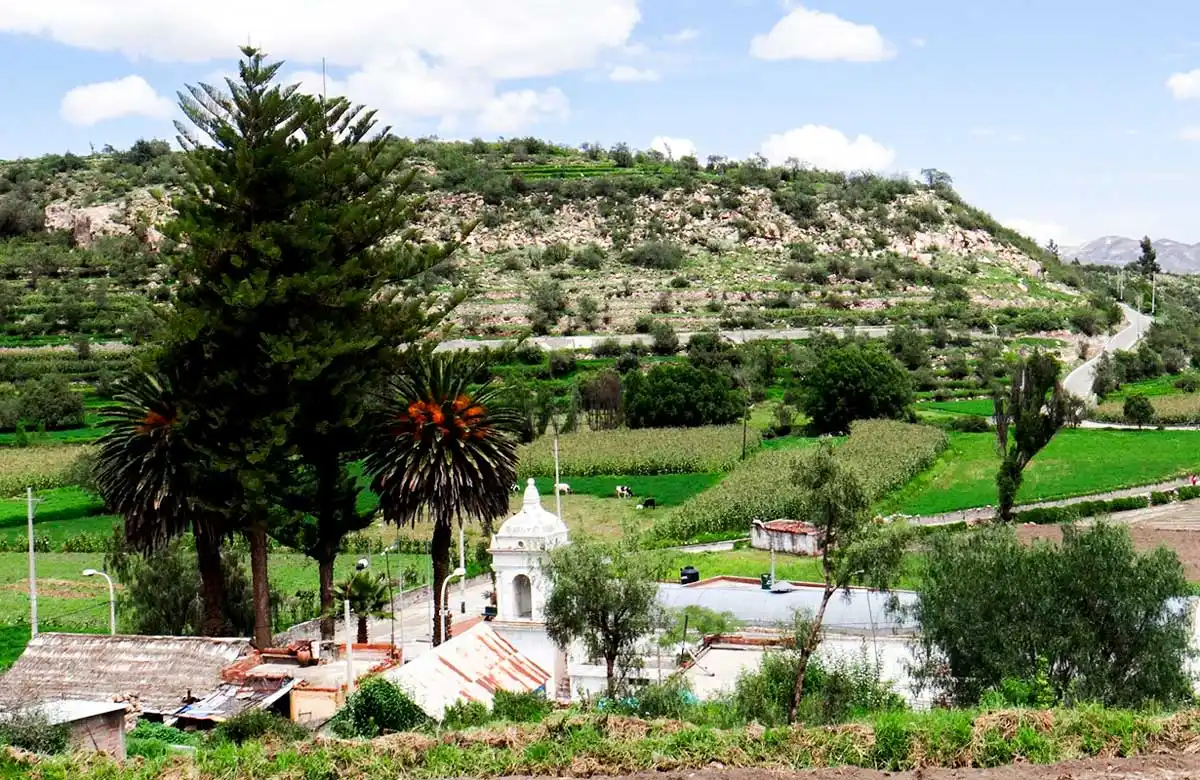 Tour por la ruta del Loncco y andenerías incas