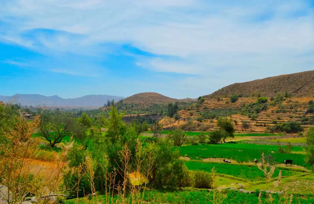 Tour por la ruta del Loncco y andenerías incas